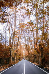 Road amidst trees during autumn