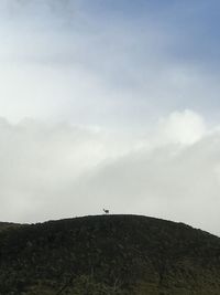 Low angle view of mountain against sky