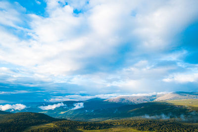 A landscape view of beautiful fresh green forest and altai mountain background. 