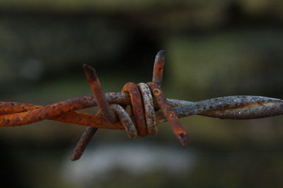 Close-up of rusty metal