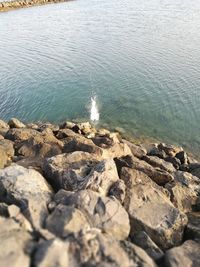 High angle view of rocks on beach