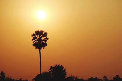 Silhouette palm trees against romantic sky at sunset