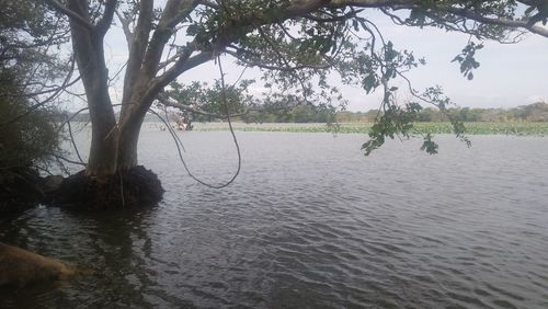 Scenic view of river against sky