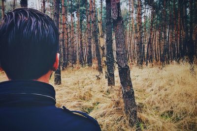 Trees in forest