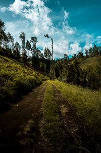 Scenic view of landscape against sky