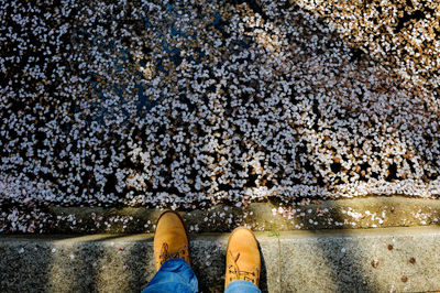 Low section of man standing by pond