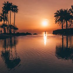 Silhouette palm trees by swimming pool against sky during sunset