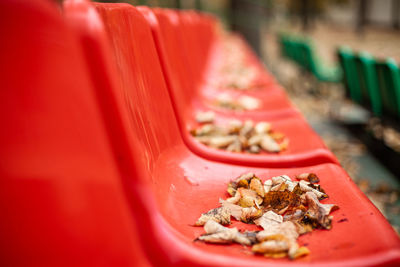 Empty sports red stands in the leaves in the fall. yellow leaves lie on the red seats of the stands