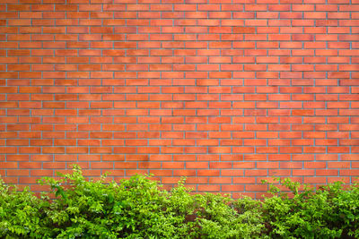 Full frame shot of brick wall