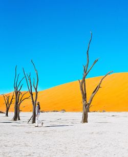 Side view of mature woman walking by bare trees at desert