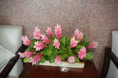 Close-up of pink flowers in vase