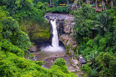 Scenic view of waterfall in forest