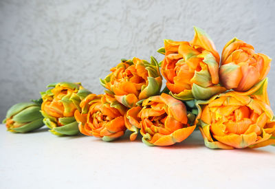 Close-up of orange flowers on table