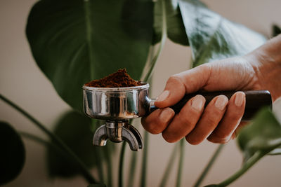 Cropped hand holding coffee ground