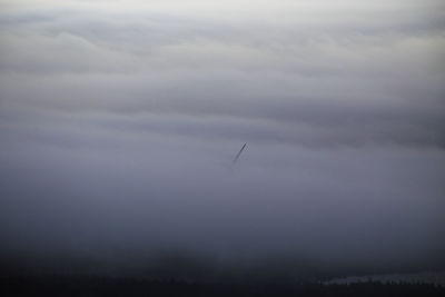 Bird flying in sky