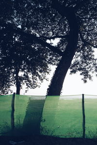 Trees on field against sky