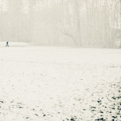 Woman standing on snow covered landscape