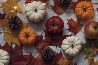 High angle view of pumpkins on table