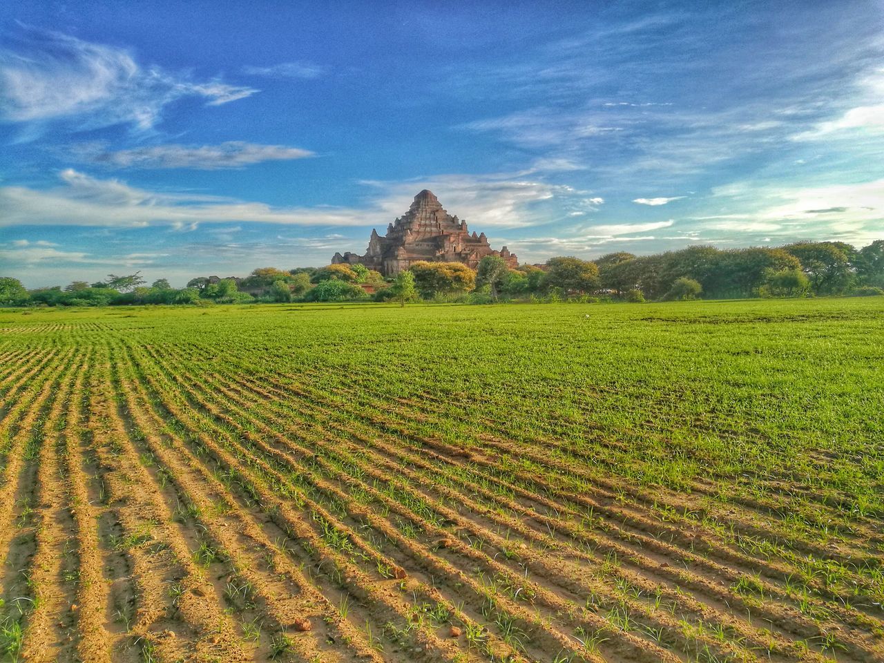 rural scene, landscape, sky, agriculture, field, tranquil scene, tranquility, growth, blue, nature, scenics, farm, beauty in nature, green color, outdoors, no people, cloud - sky