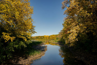 Scenic view of lake in forest against clear sky during autumn