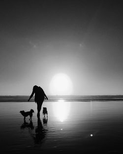 Silhouette woman with dogs standing at beach during sunny day