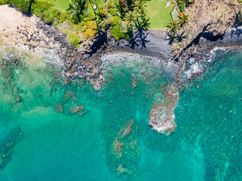 High angle view of swimming in sea