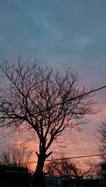 Silhouette of bare trees against sky at sunset