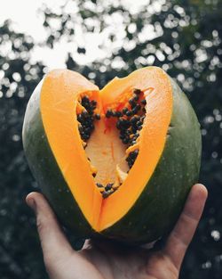 Cropped hand holding papaya against trees