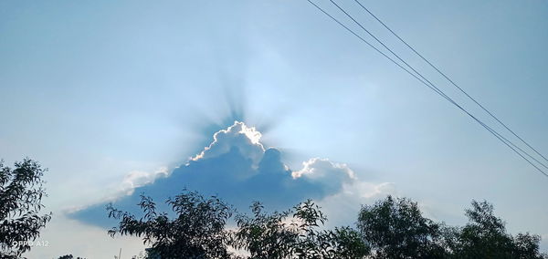 Low angle view of silhouette trees against sky