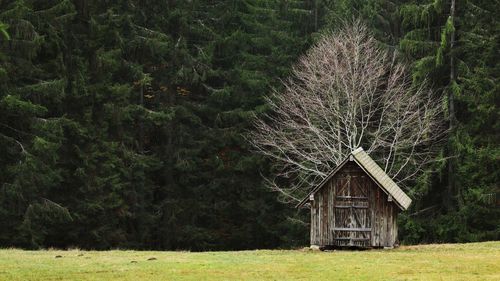 Little wooden cabin in black forest