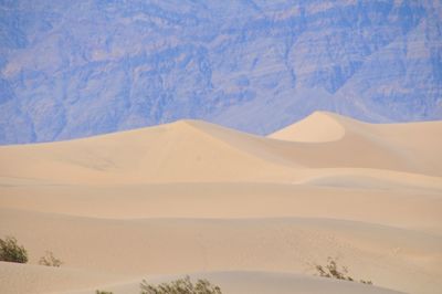 Scenic view of desert