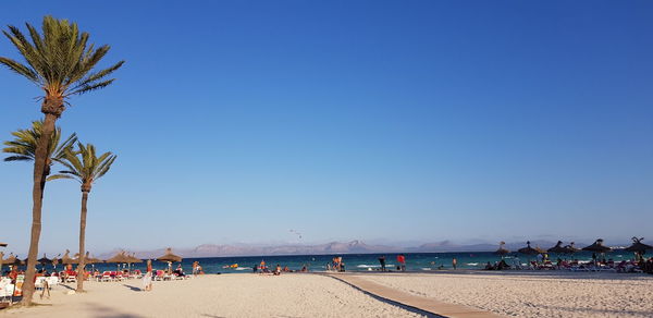 Scenic view of beach against clear blue sky