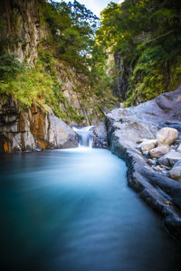 Scenic view of waterfall in forest