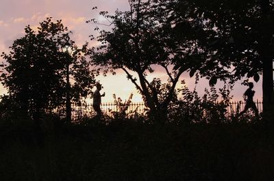 Silhouette trees against sky at sunset