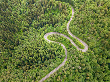 Beautiful aerial view of winding roadmountain cutting through forest landscape in summer time