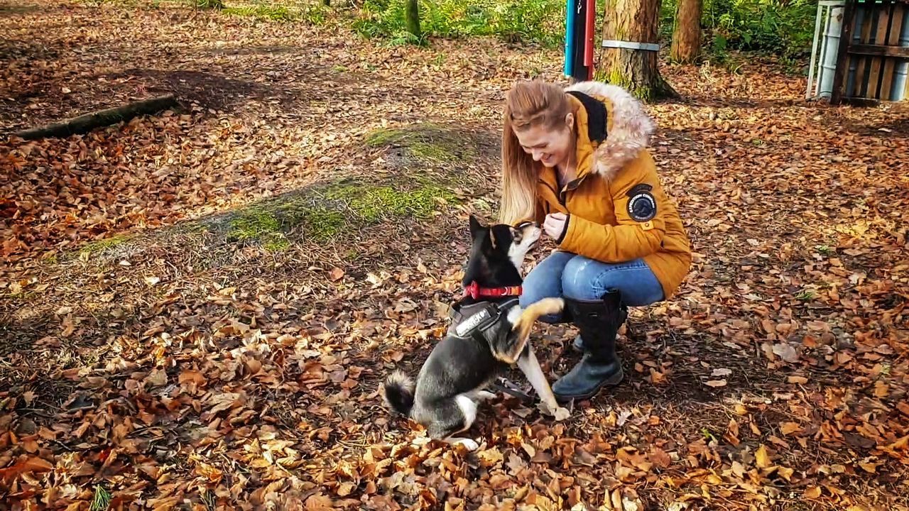 YOUNG WOMAN WITH HORSE ON AUTUMN LEAVES