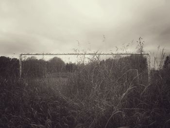 Field against cloudy sky