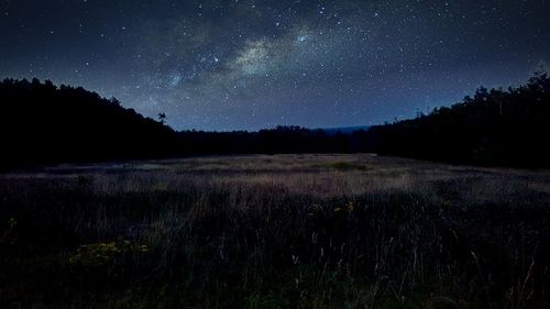 Scenic view of star field against star field