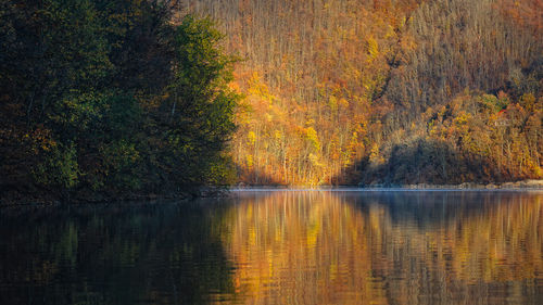 Scenic view of lake in forest during autumn