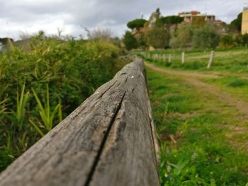 Close-up of wood on field against sky