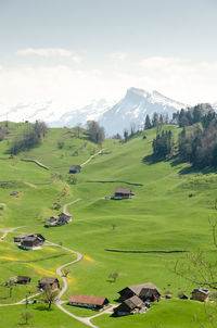 Scenic view of grassy field against sky