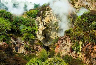 Scenic view of waterfall in forest