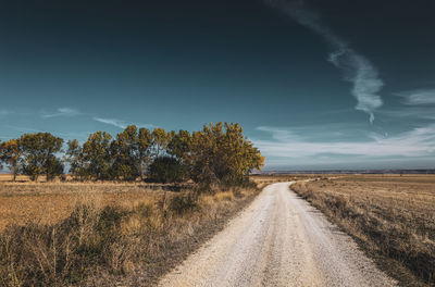 Dirt road amidst field against blue sky