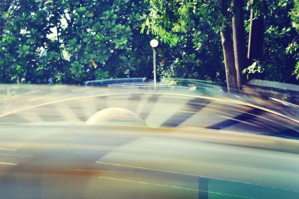 transportation, tree, glass - material, transparent, car, road, land vehicle, reflection, mode of transport, street, no people, motion, windshield, indoors, window, sunlight, travel, day, road marking, empty