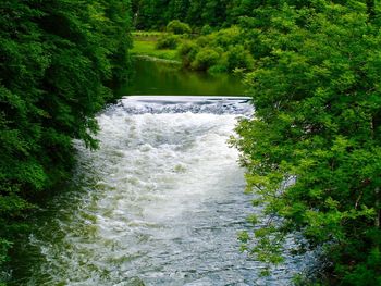 Scenic view of waterfall in forest