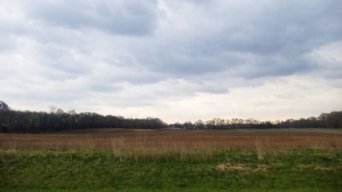 Scenic view of field against sky