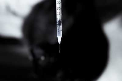 Close-up of person holding ice cream