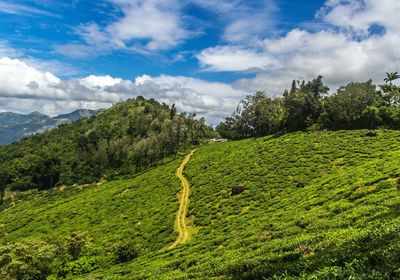 Scenic view of green landscape against sky