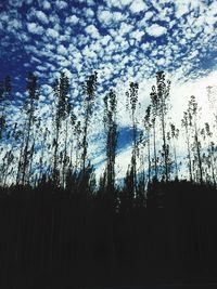 Low angle view of bare trees against sky