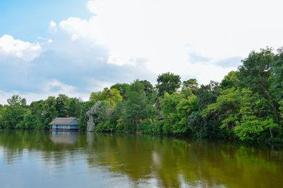 Scenic view of lake by trees against sky